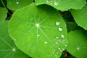 春について・・・