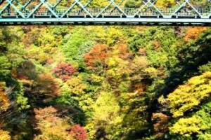 断れない・・・、いいえ断らないんです！