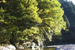 チャンスを逃さない、相手との出会いをむだにしない！