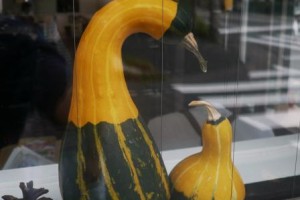 ウォーキングー！！