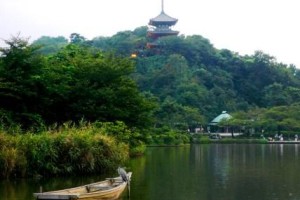 行動する社会福祉士！