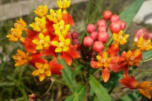 手応えを持つ！