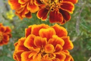 Ｋくんのその後・・・