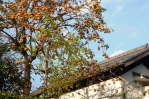 ギラギラじゃなくキラキラ！