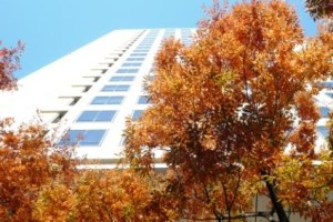 今、ここにいる自分