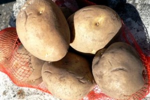 土曜日出勤のひととき・・・