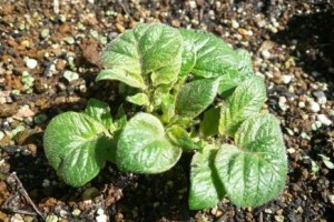 突き抜けよう！