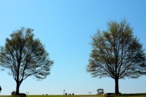 様々な立場から・・・