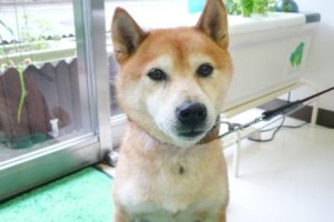 喜びを分かち合う・・・