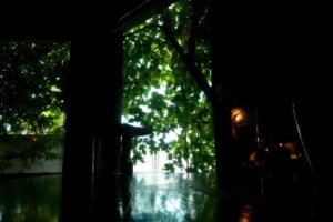 あらゆる場所で・・・