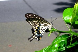 数にこだわる！