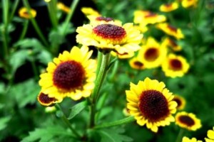 不可能を可能に・・・