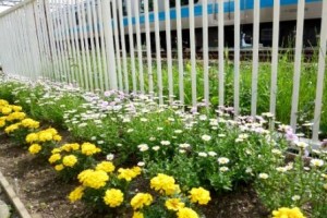 「いそがしい」で人を見ない！