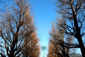 進むからこそ何かが起こる・・・