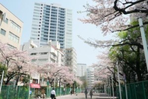 築 昭和２４年（？）リフォーム計画！