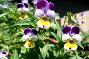 この人となら何ができるか