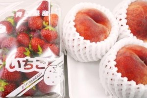 い・ち・ごのその後・・・