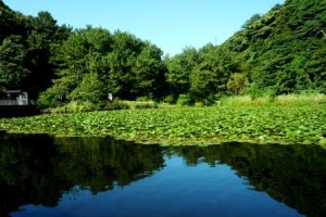 帰る場所・自分でいられる場