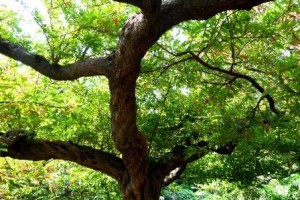 苦悩している場合じゃぁない！