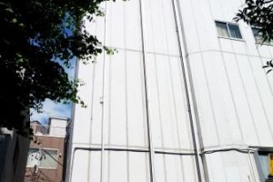 大空に羽ばたくみま～も！