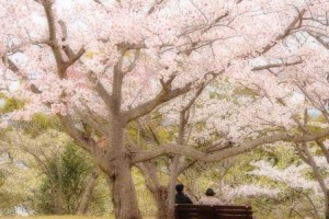 それ故に・・・