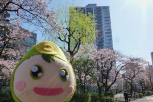 大局と対極と・・・