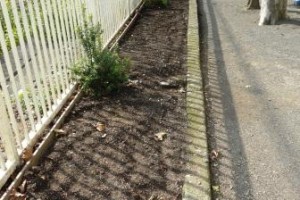 新たな年に思いを馳せて・・・