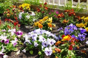 みま～もな週末