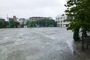 最後の命のバトン！