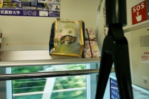 未来のリーダーたちへ！