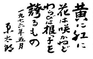 前を向いて歩んでいれば・・・（認知症セミナー報告の前にPART２）　