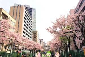 新年度初の来訪者