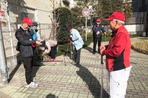 若返り・・・？