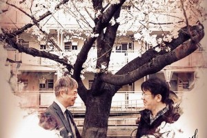 満開の桜の下で・・・