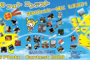 入新井フォトコンテスト優秀作品発表！