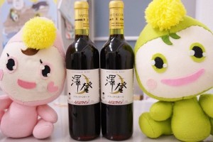 その土地を映す鏡